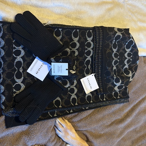 Coach - Picture 1 of 3